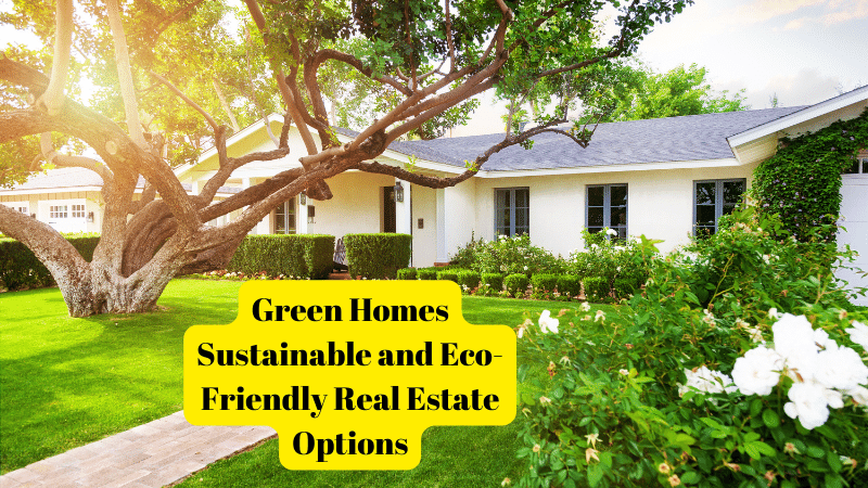 Green Homes Sustainable and Eco-Friendly Real Estate Options
